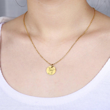 PetShots Personalized Necklace Necklaces KittyNook Cat Company